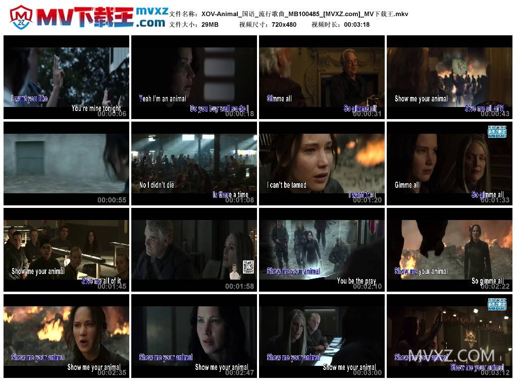 XOV-Animal_国语_流行歌曲_MB100485